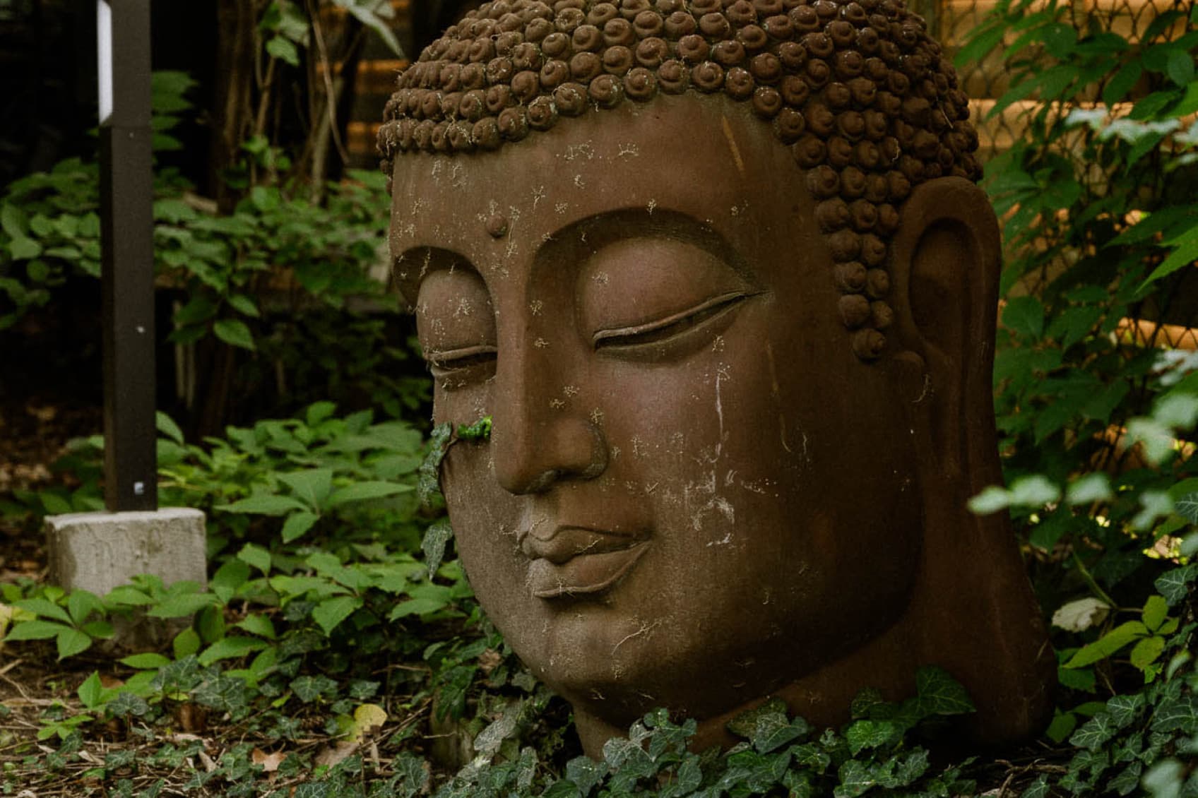 Shown is the tranquility of the park and the buddha statue, that offers the perfect retreat from a busy day.