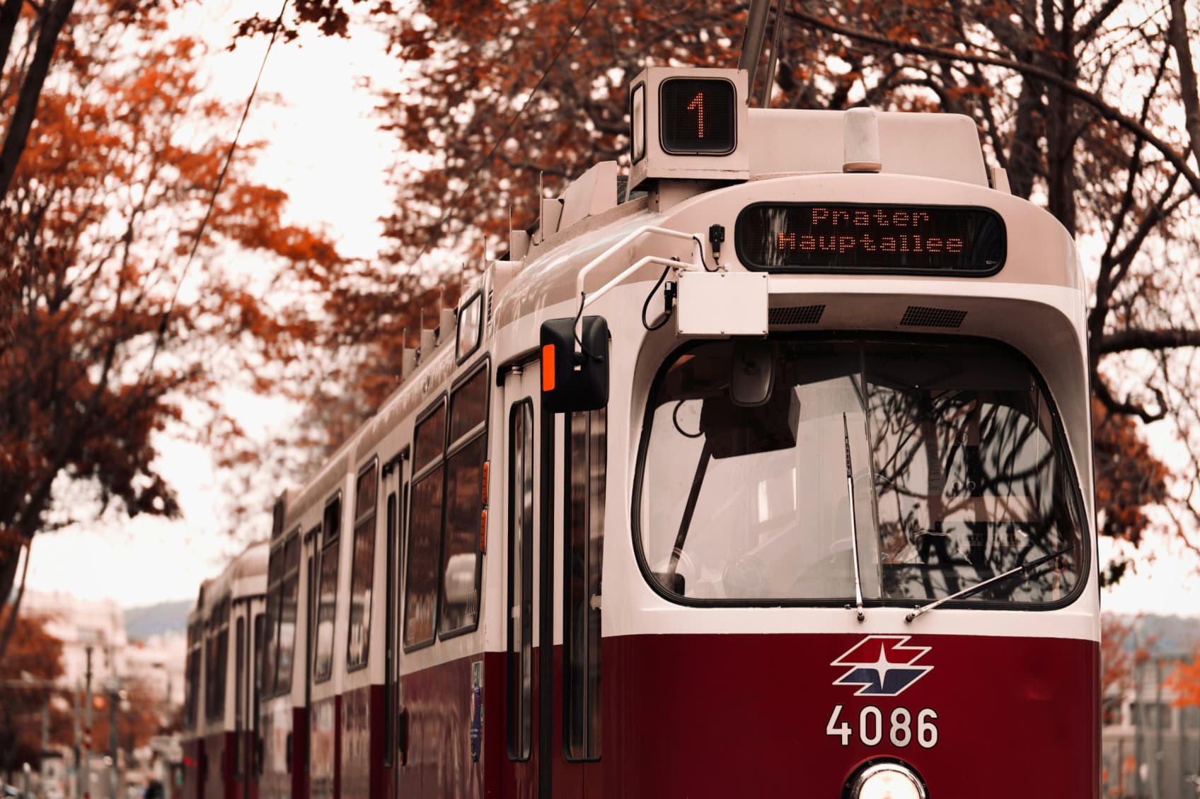 A rad tram drives through Vienna and through a track with trees on the left and right site