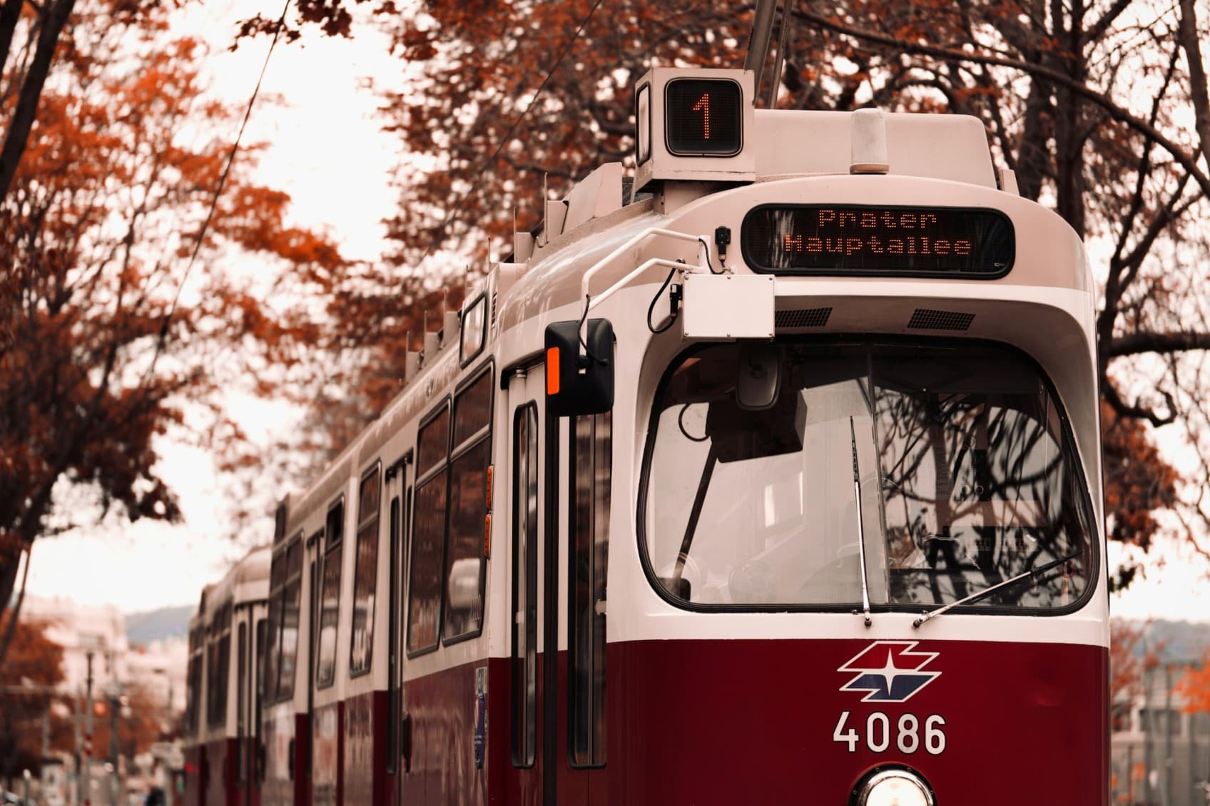 A rad tram drives through Vienna and through a track with trees on the left and right site